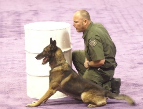 k97